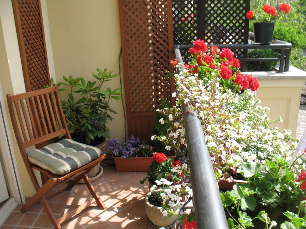 Patio Mare Amber Διαμέρισμα Σόποτ Εξωτερικό φωτογραφία